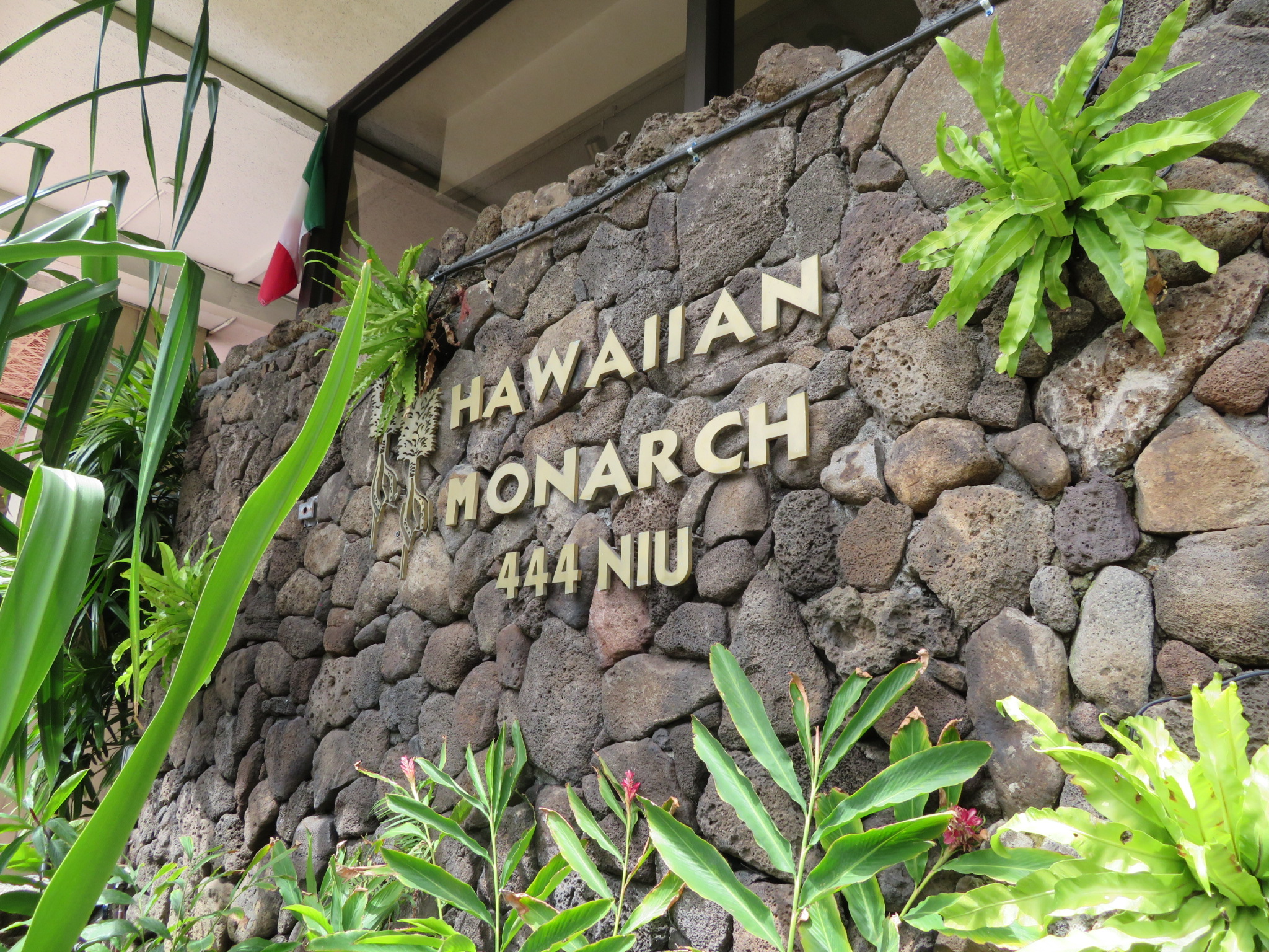 ハワイアン・モナーク / Hawaiian Monarch