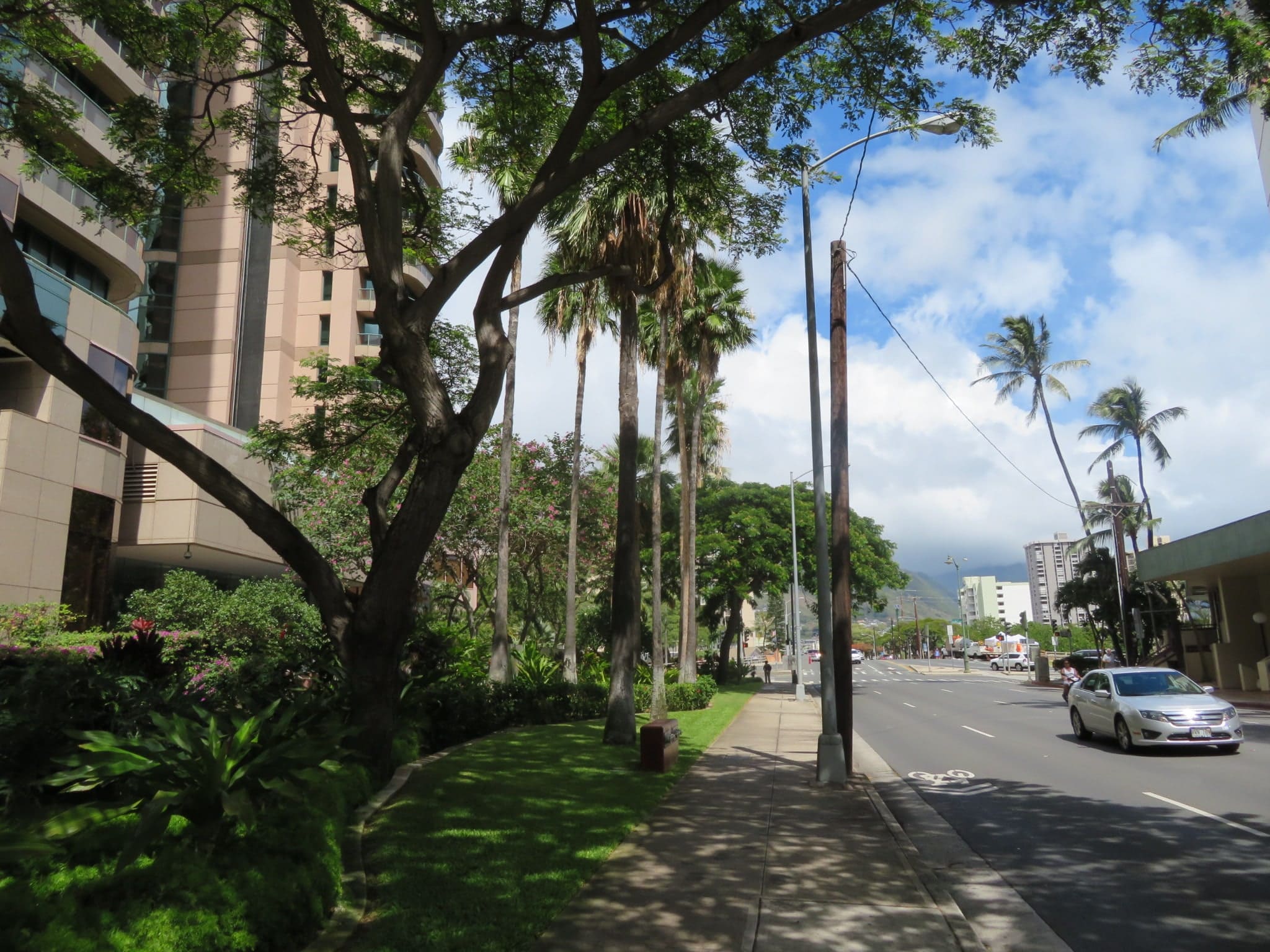 ワイキキ・ランドマーク / Waikiki Landmark