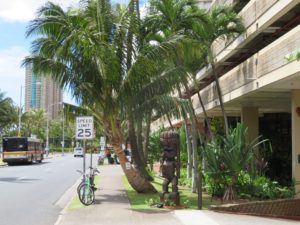 ワイキキ・ランドマーク / Waikiki Landmark