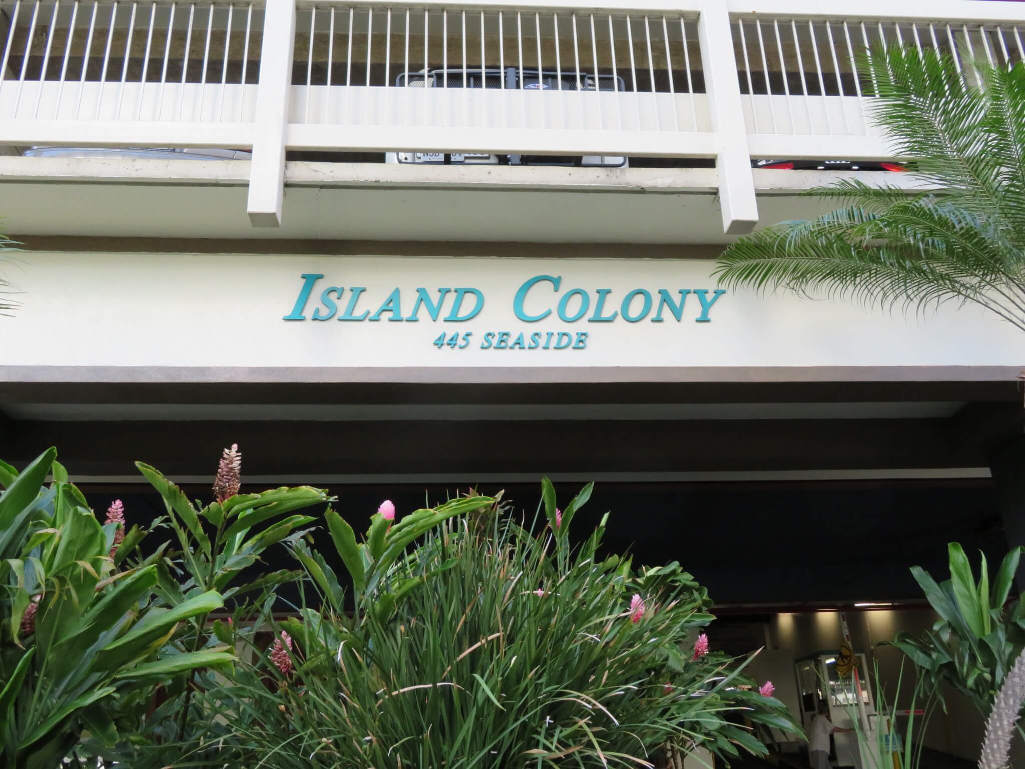 アイランド・コロニー / Island Colony