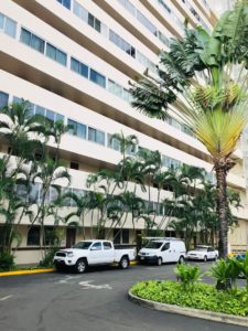 500 Ala Wai Plazaの外観