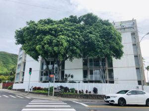 Diamond Head Hillsideの外観