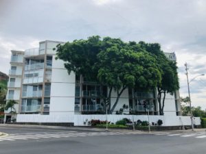 Diamond Head Hillsideの外観