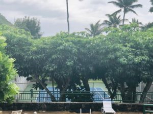 Kalani Iki Estatesのテニスコート