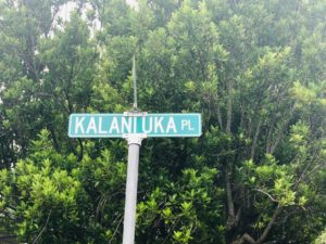 Kalani Iki Estatesの標識