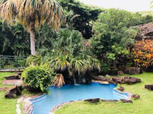 Kalani Iki Estatesのプール
