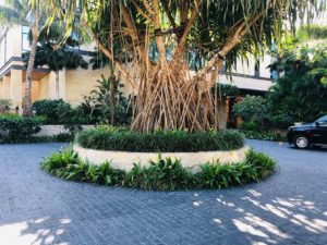 Park Lane Ala Moanaのロータリー