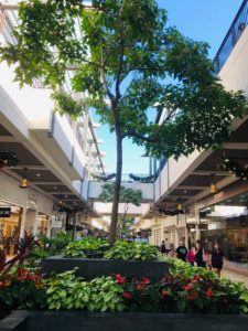 Lane Ala Moanaのアーケード