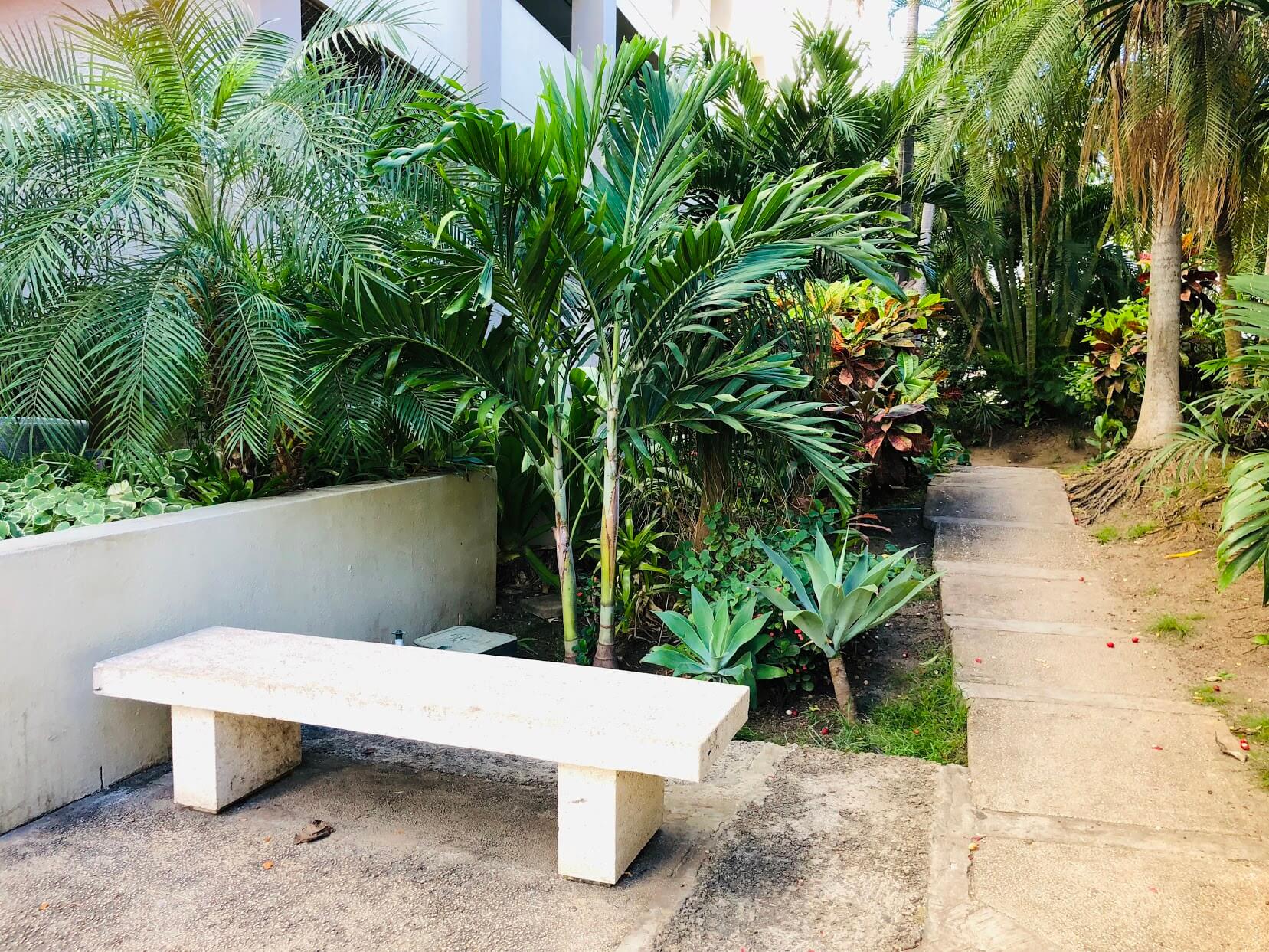 Waikiki Lanaisの庭