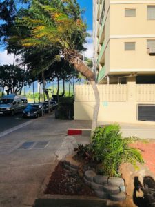 Walina Apartmentsの外観