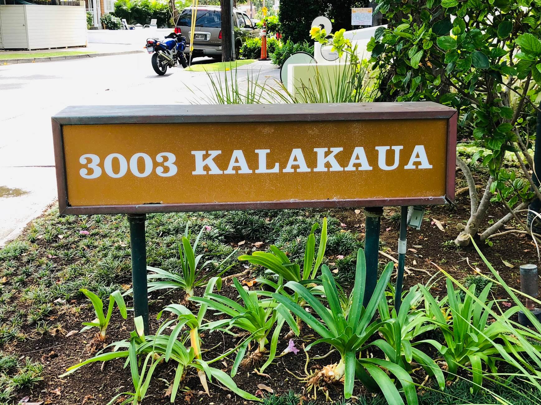 3003 Kalakauaの看板