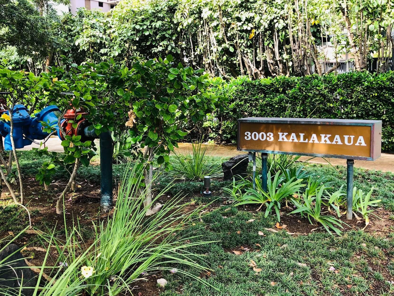 3003 Kalakauaの看板
