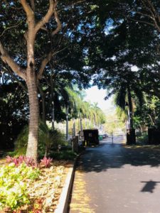 Colony at the Peninsulaの道路