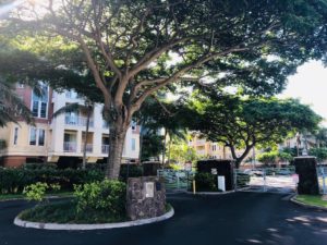 Colony at the Peninsulaの外観