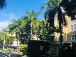 Colony at the Peninsulaの門