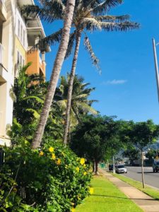 Colony at the Peninsulaの外観