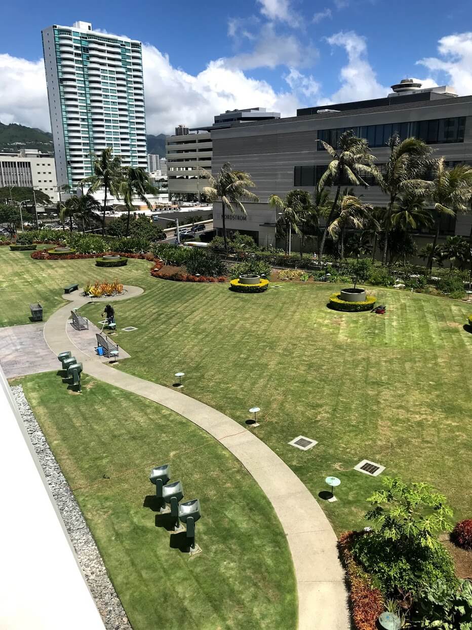 HawaikiTowerの芝生