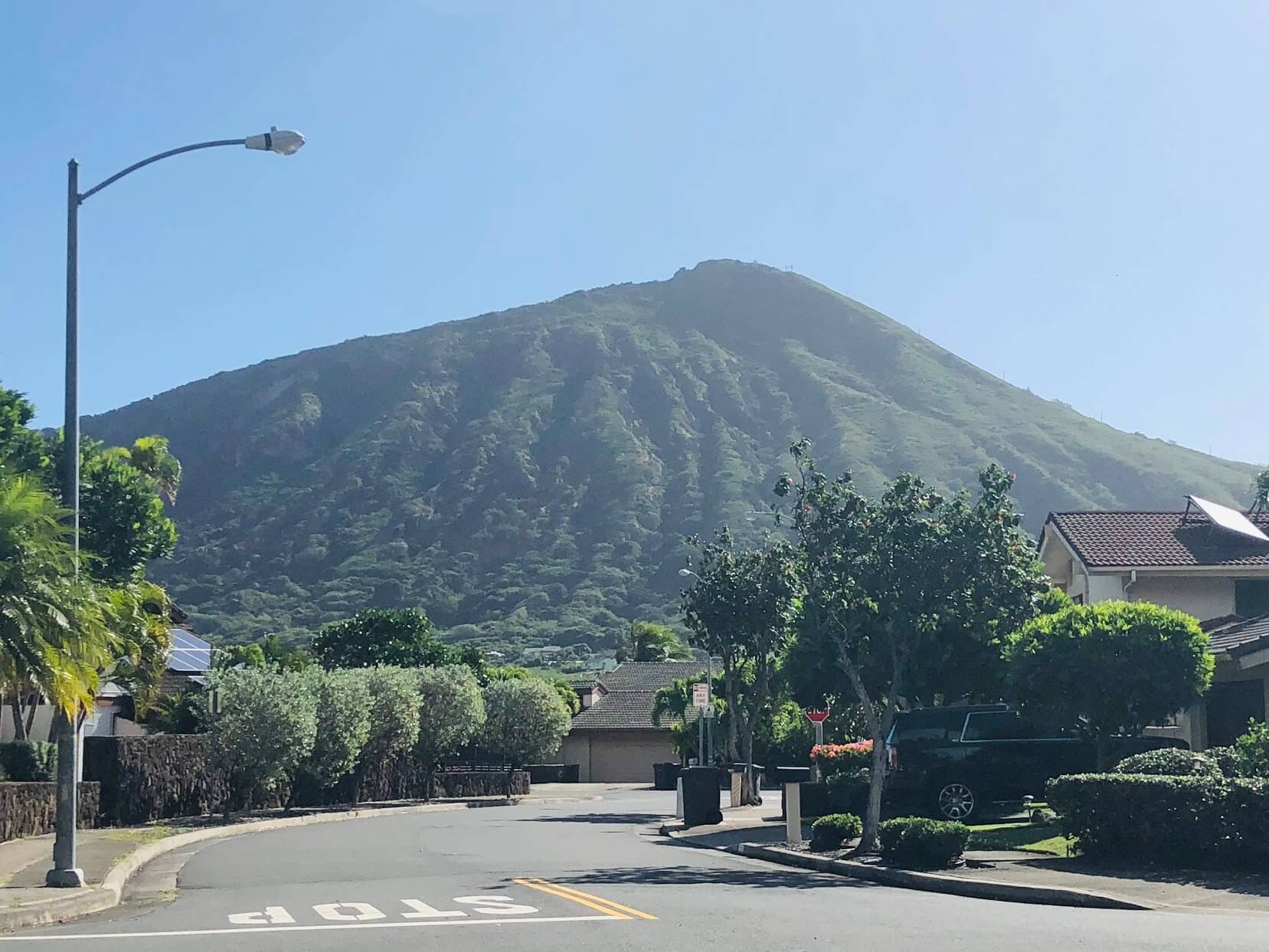 Lalea at Hawaii Kaiの山