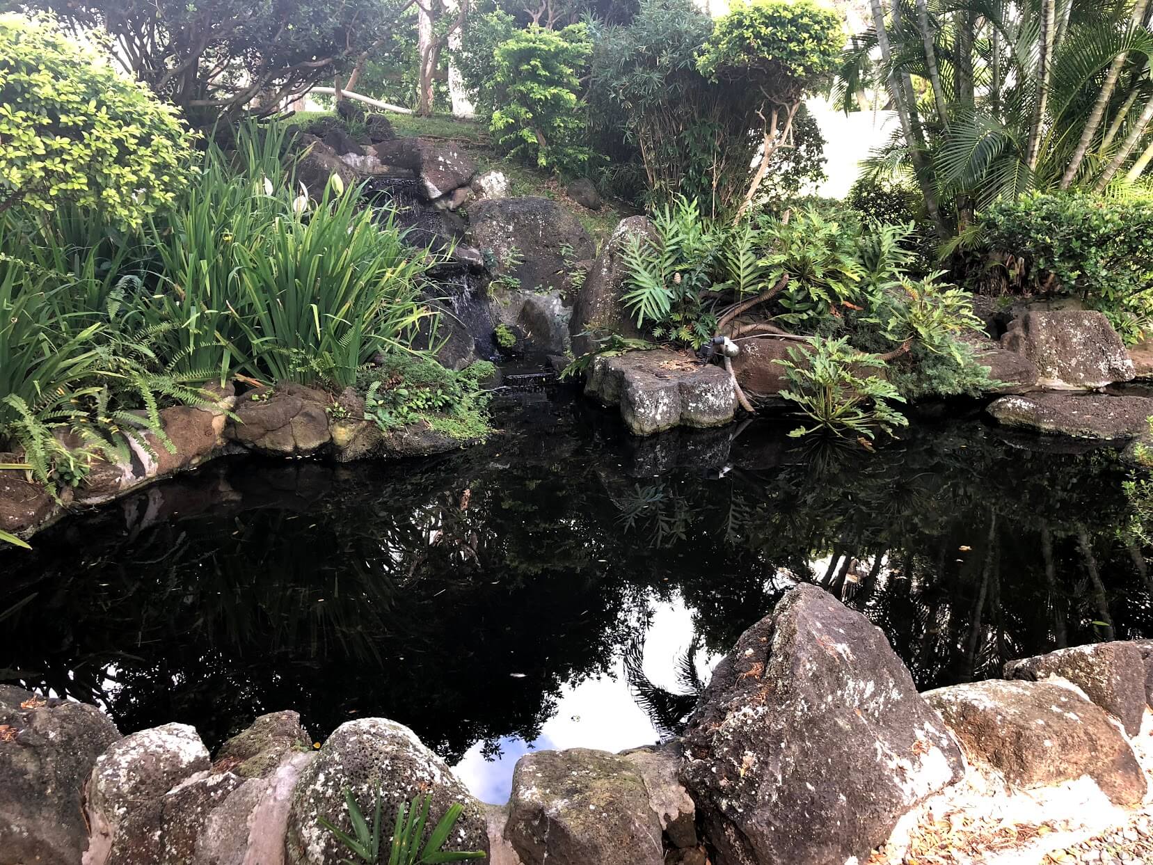 Naniwa Gardensの池